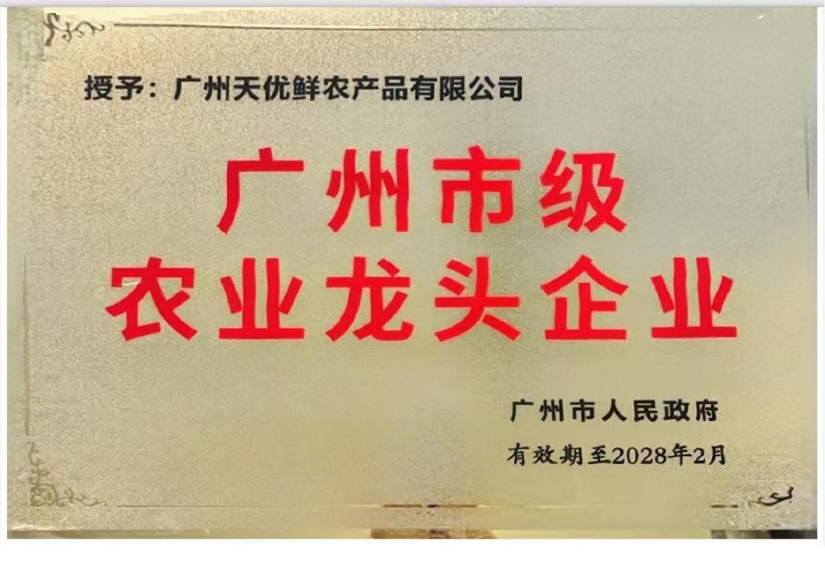 广州市农业龙头企业证书